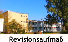 Revisionsaufma