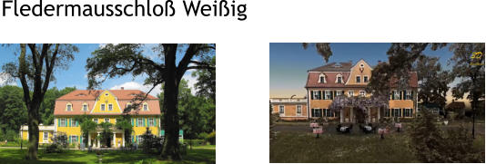 Fledermausschlo Weiig